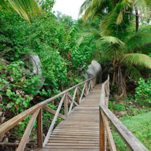 trekking-tayrona3