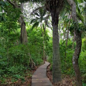 trekking-tayrona4